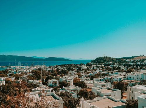 mert-kahveci-6QOG3xSo12g-unsplash mert-kahveci-6QOG3xSo12g-unsplash